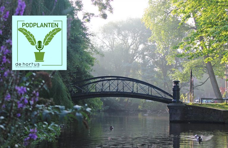 Begraafplaats Hortus Amsterdam
