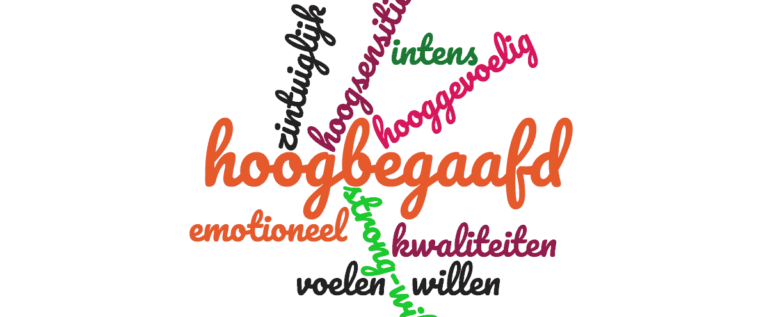 #0 HB- Interview Leids Dagblad